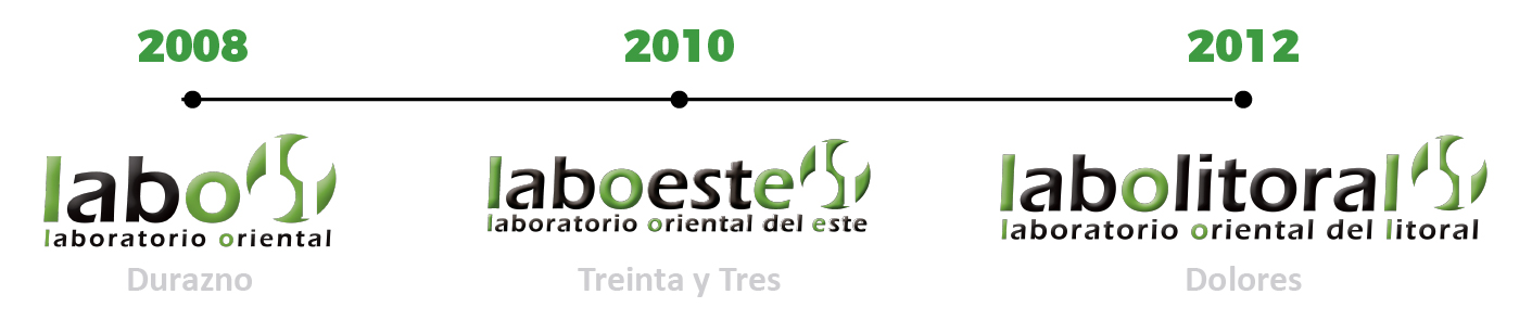 linea de tiempo